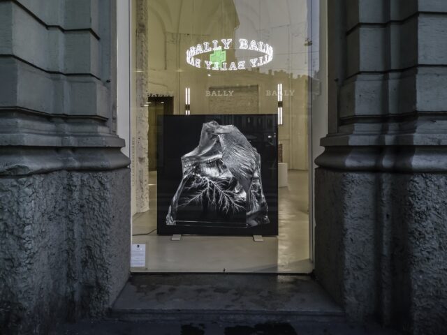 Installazione Alan Bogana, Premi Artista Bally 2017 nello showroom Bally a Milano